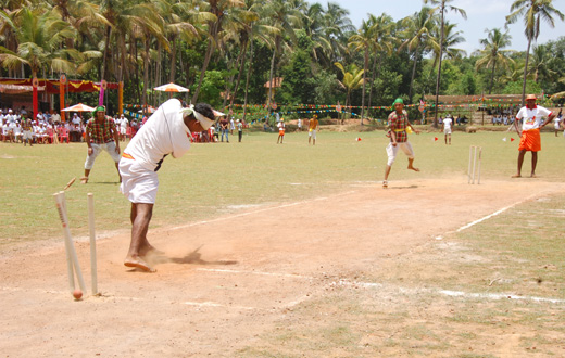 Halli Cricket II